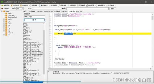 sqqyw 淡然点图标系统 漏洞复现和74cms漏洞复现
