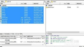 如何安装程氏CMS