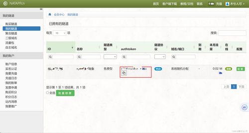 在公司内网开发的时候如何和互联网第三方平台环境联调之内网穿透