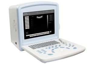 河北口碑好的CMS600F VET B型超声诊断设备品牌推荐